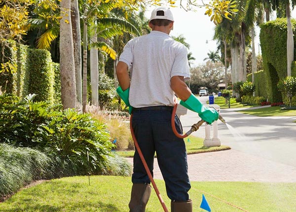 About Easton PA Pest Control Pros